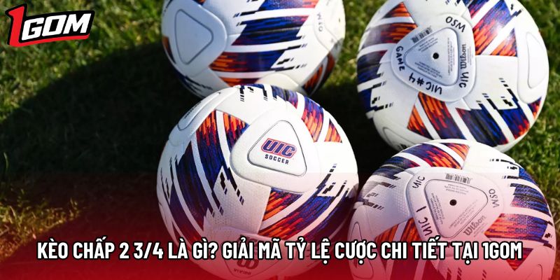 Kèo Chấp 2 3/4 Là Gì? Giải Mã Tỷ Lệ Cược Chi Tiết Tại 1Gom